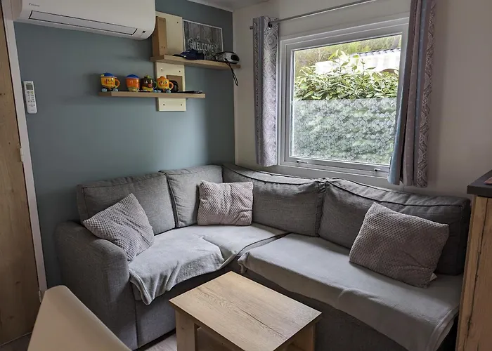 Mobil Climatise Recent 2 Salles D'eau, 2 Wc A Siblu Bonne Anse 莱马特